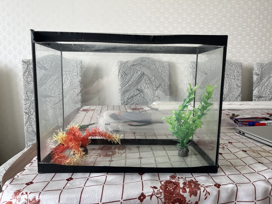 Продам аквариум с оборудованием