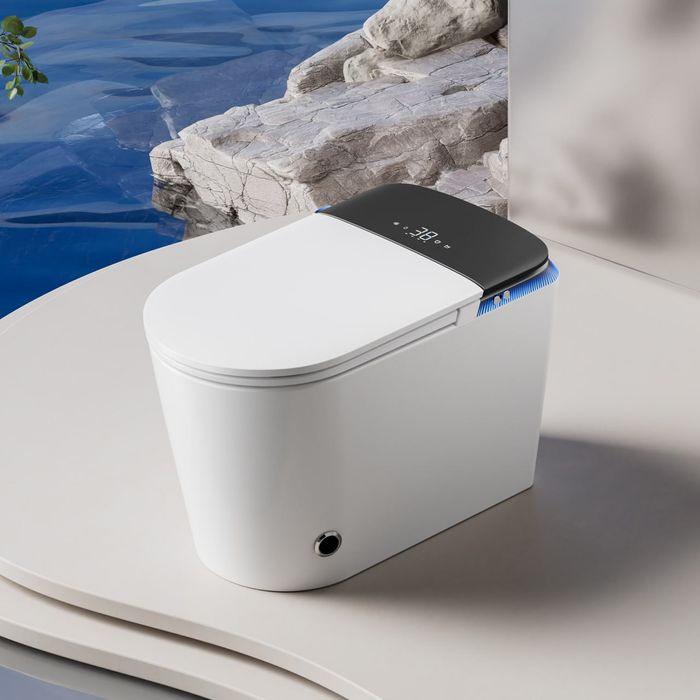 Унитазы / смарт и литые