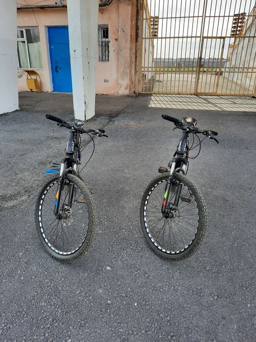 Продам два велика марс