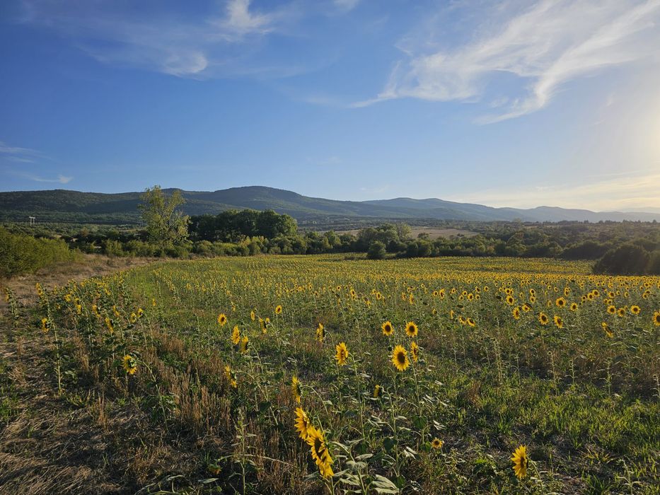 Продава се Парцел в с. Нови хан, Област София-област - 8232 кв.м за 9 €/кв.м - Снимка #1