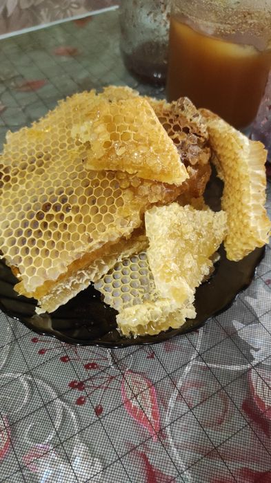 Продам Мёд с личной пасеки