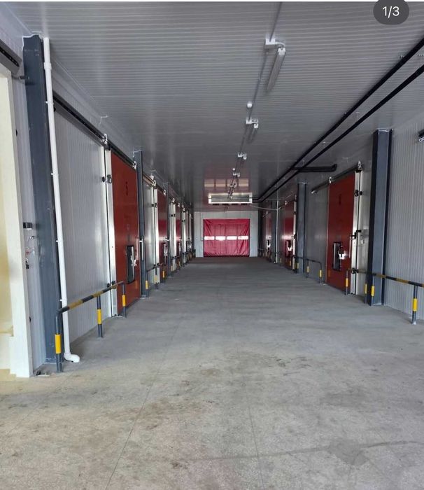 Zamonaviy muzlatish yechimlari — energiya tejamkor va samarali saqlash