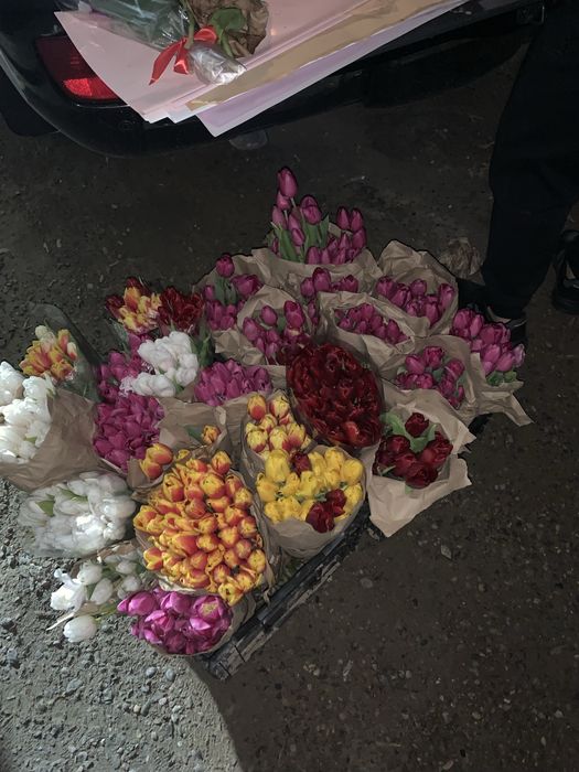 Тюльпаны голландские