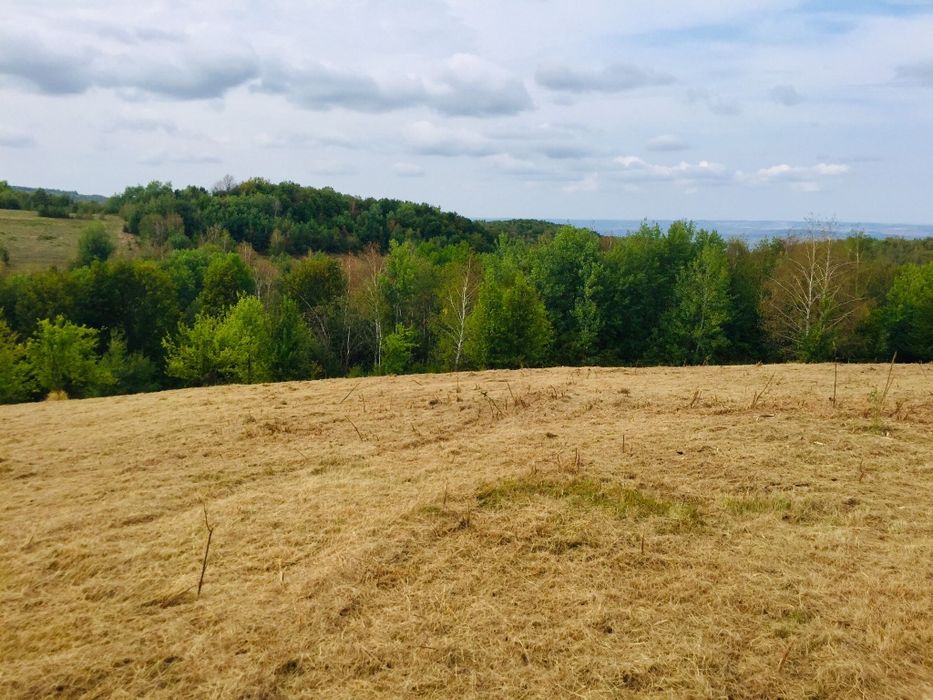 Vand Teren in Sinteu