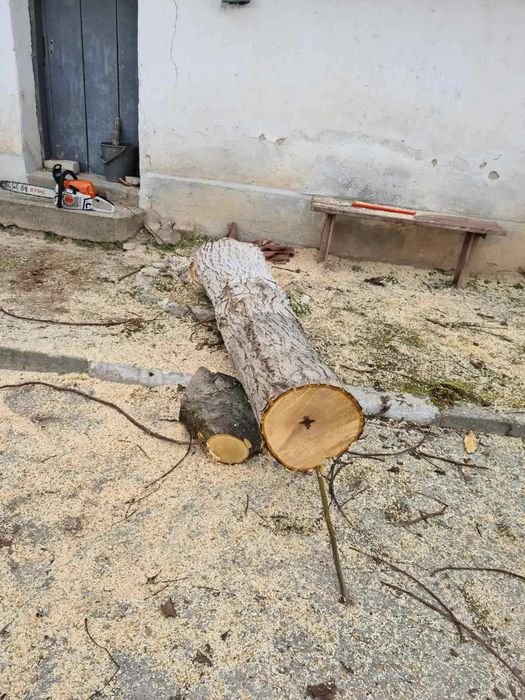 Продавам ствол от орех