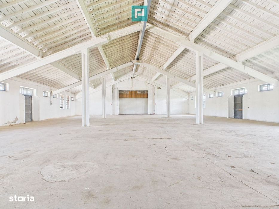 Hale 1800 mp fiecare – acces autostradă, Teiu, HD