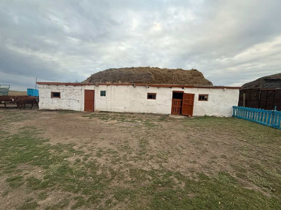 Үй сатылады Тасшоқы  ауылы