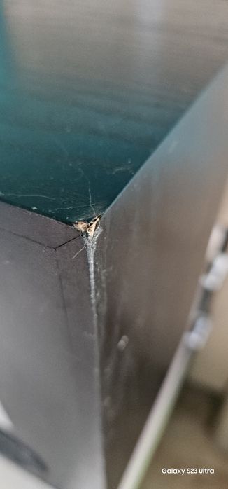 Quadral Dauphin Тонколони