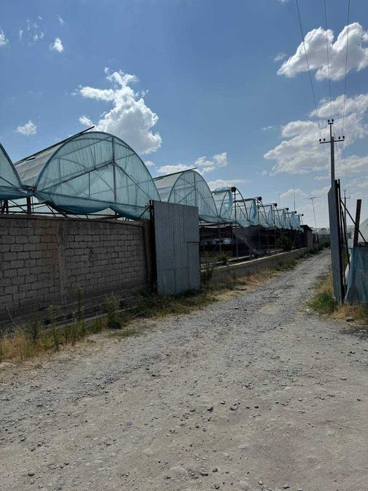 Иссикхона сотилади