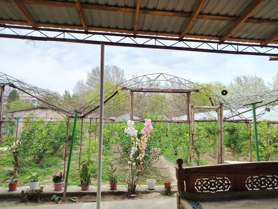 Ховли сотилади чирчик аранча 15 сотк, хамма шароити бор сув свет кнали