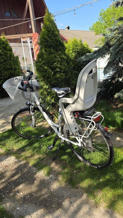 Bicicleta Pegasus