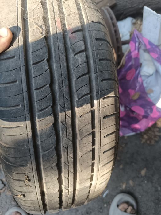 Продам пять зимних и однолетние летние