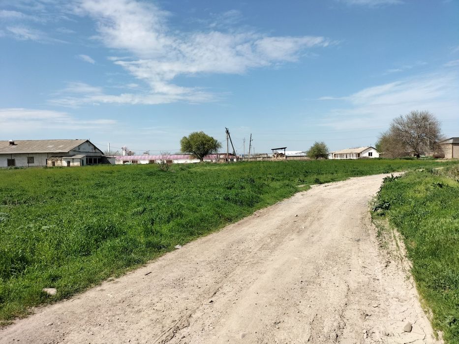 10 га Новый Ташкент