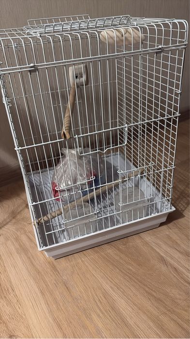 Клетка для птиц