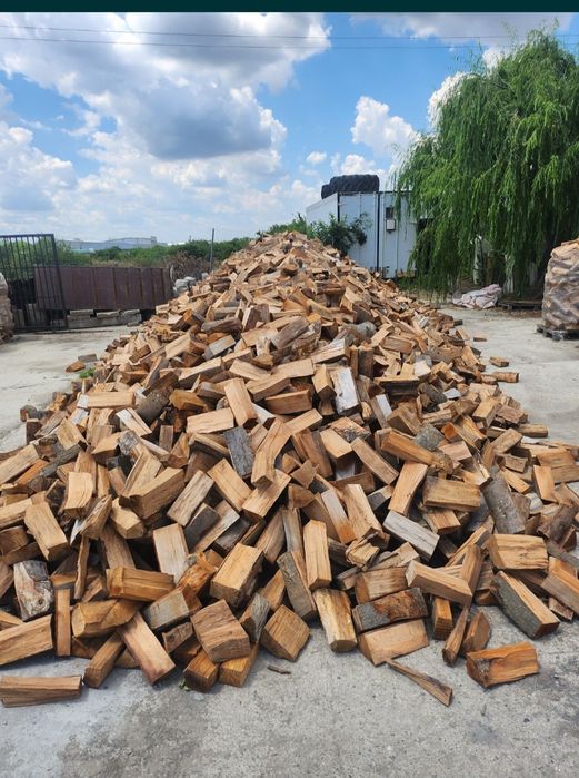 Lemne de foc Oferta Reduceri