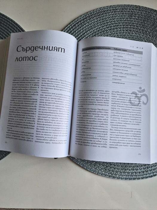 Черната книга Свами Тиртха