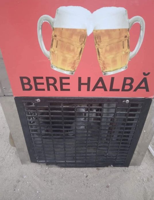 Dozator bere/vin si protap