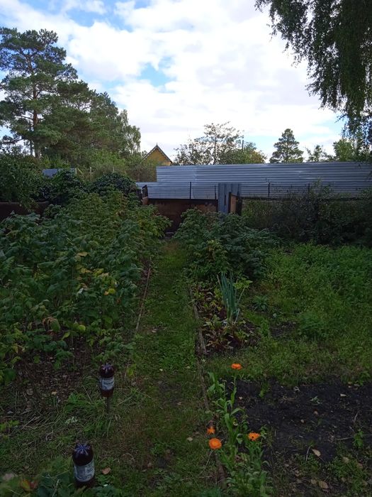 Продам дачу в обществе "Садовод"