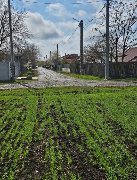 Teren de vânzare Postavari