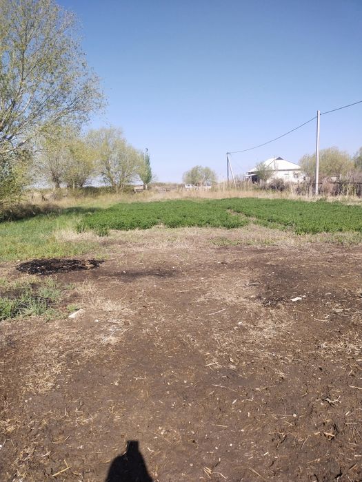 Уй сатылады,Байсын ауылы