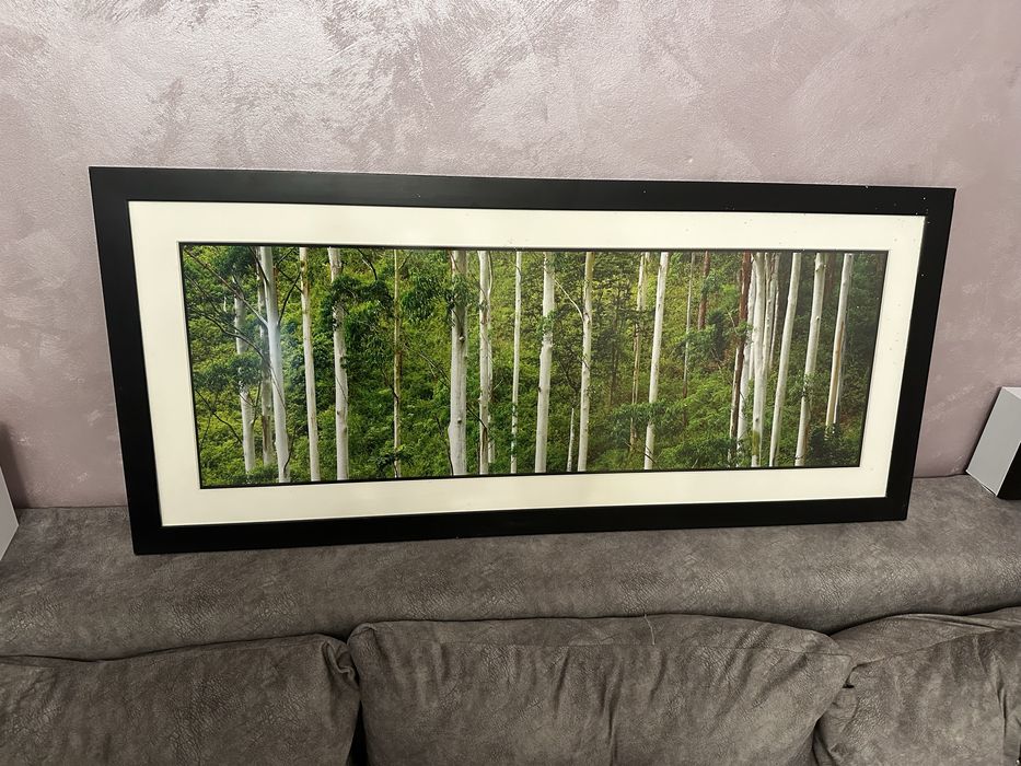 Tablou cu rama dimensiuni L 116 x 51cm
