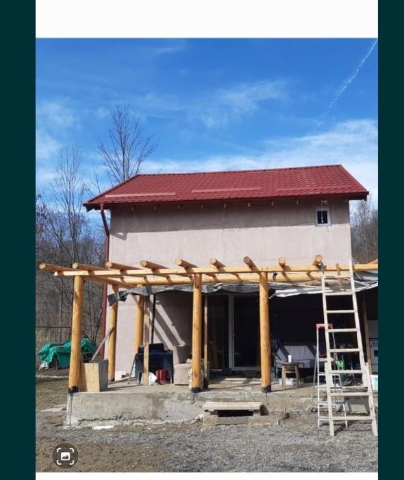 Bile de brad rotunde și decojite