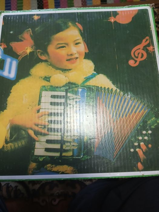 Acordeon și joc biliard