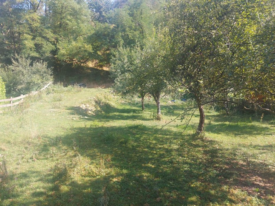 Teren Avram Iancu Jud Alba