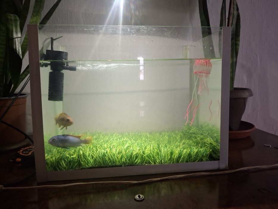 Продам аквариум 24 литрови