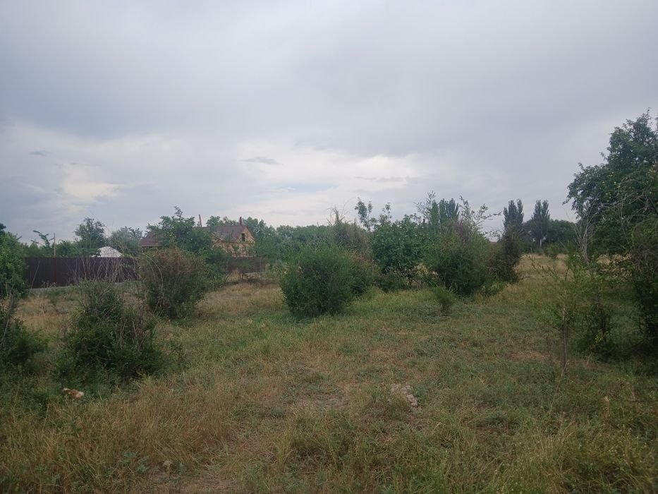 Құшата елді мекенінде жер сатылады