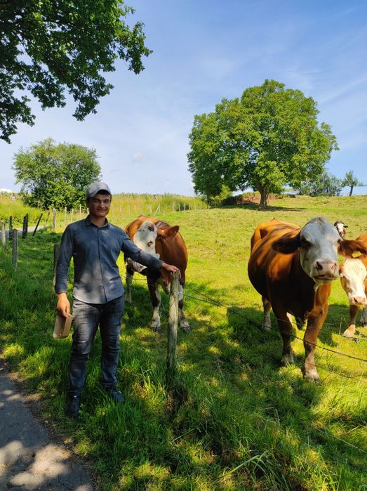 Veterinar vrach / Ветеринар врач/ Vet doctor