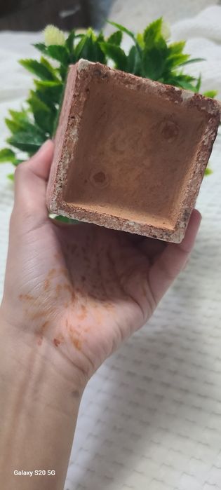 Декоративный красивый цветок в горшочке.