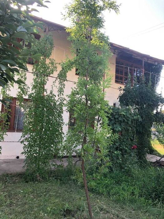 Продается дача в поселке уртасарай