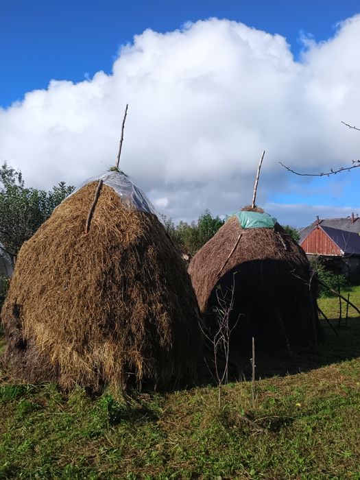 se vinde 2 clăi de  fân și otavă