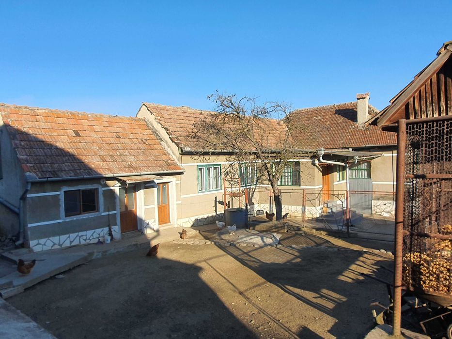 Vand casa mare la tara