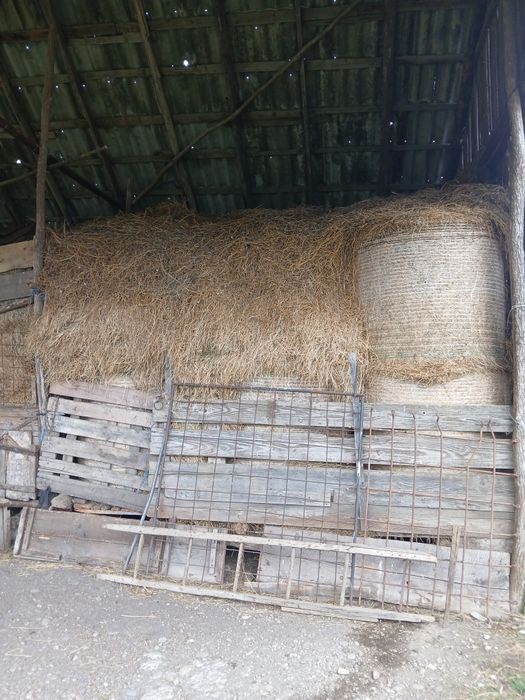 Fan de vanzare 4 baloti si restul vrac