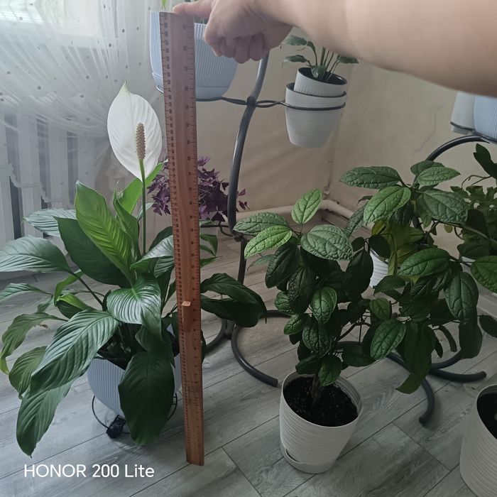Продам женское счастье