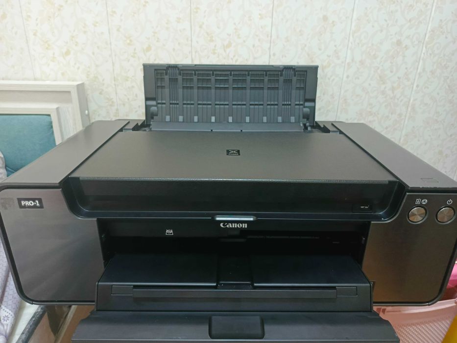 Canon  PIXMA PRO-1