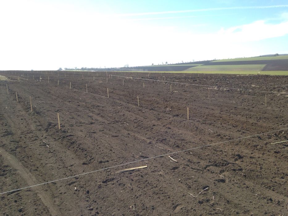 Пробиване на дупки, разграфяване, забиване на колове