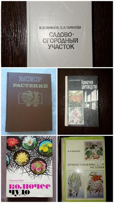 Цветоводство. Кактусы. Грибы.