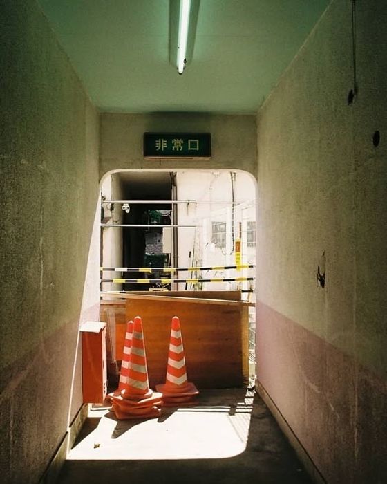 Цветная плёнка Kodak Gold