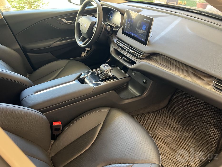Hongqi  E-QM5 Kraska Tozza 100%