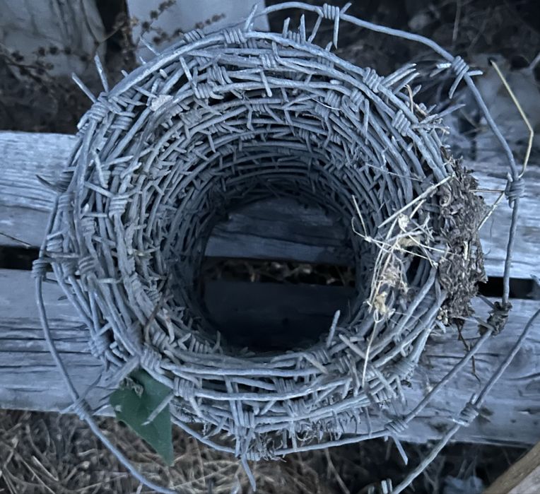 колючая проволока