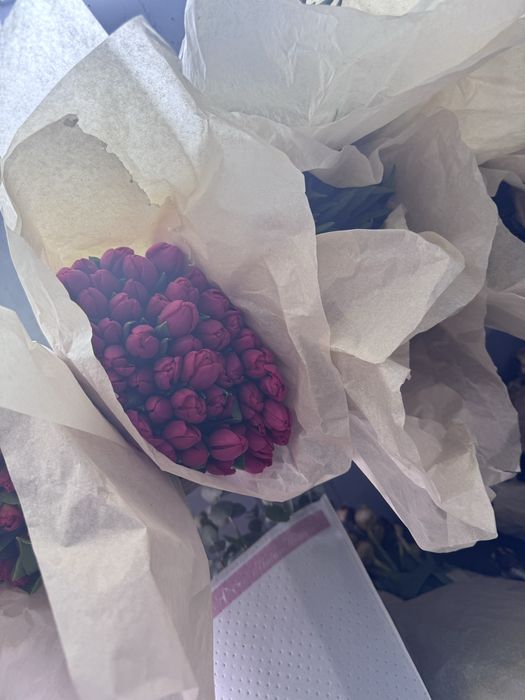 Тюльпаны не дорого