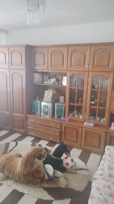 Biblioteca sufragerie sau living