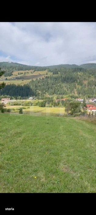 Teren intravilan 16.688 mp in Saru Dornei (video)