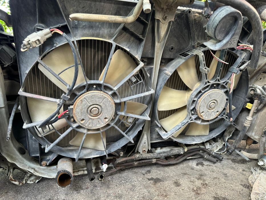 Ноускат RX300 с 98 по 03