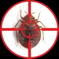 dezinfeksiya xidsiz klapa tarakan pasha