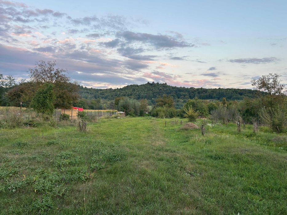 Teren intravilan