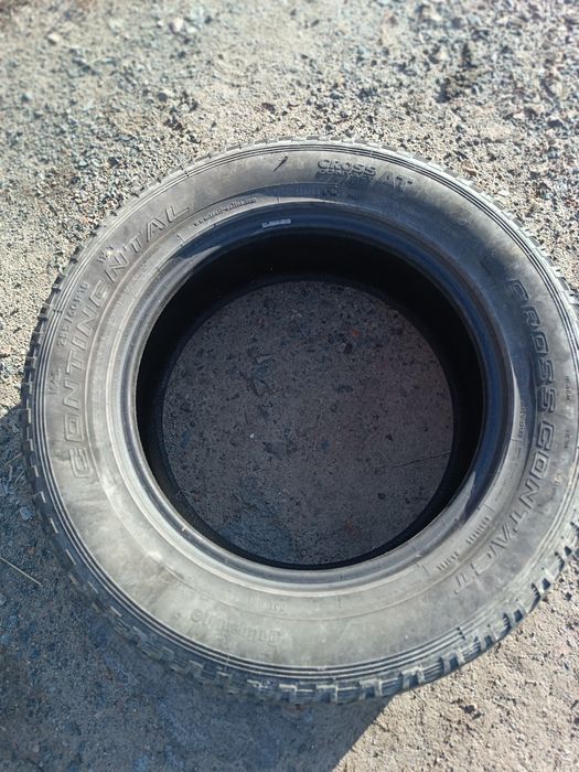 Резина 255х60х18